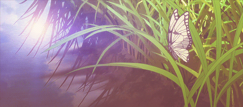 2.gif 2.gif