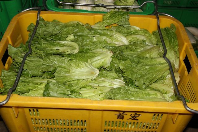 探尋綠色商機——為何選擇蔬菜配送行業？