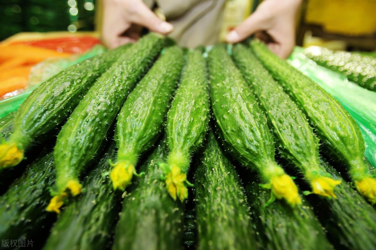 分享什么樣的營養蔬菜適合夏天補身體吃